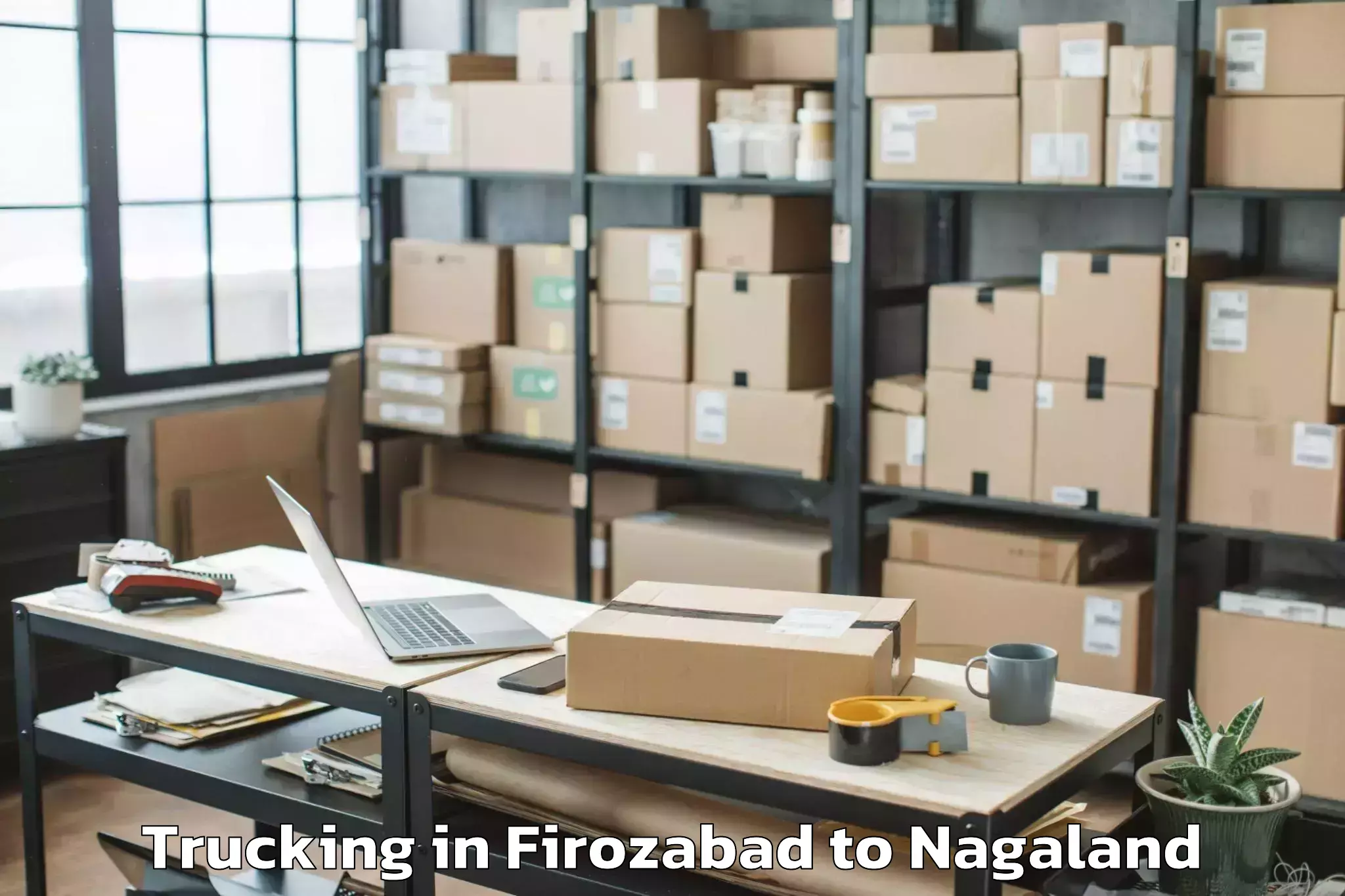 Leading Firozabad to Niuland Trucking Provider